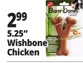 Ocean State Job Lot 5.25 Wishbone Chicken offer