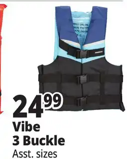 Ocean State Job Lot Vibe 3 Buckle offer