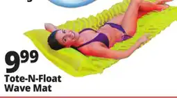 Ocean State Job Lot Intex Tote-n-Float Wave Mat offer