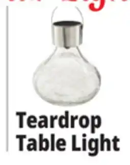 Ocean State Job Lot Outdoor Living Accents Solar Glass Teardrop LED Table Top Light offer