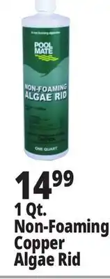 Ocean State Job Lot Pool Mate Non-Foaming Algae Rid 1 Qt offer