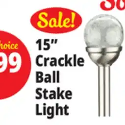 Ocean State Job Lot 15 Crackle Ball Stake Light offer