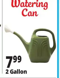Ocean State Job Lot 2 Gallon Watering Can offer