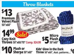 Ocean State Job Lot Throw Blankets offer