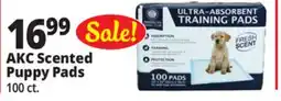 Ocean State Job Lot AKC Scented Puppy Pads offer