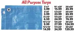 Ocean State Job Lot All-Purpose Weather Resistant Tarp offer