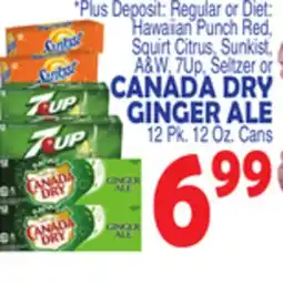Bravo Supermarkets CANADA DRY GINGER ALE offer