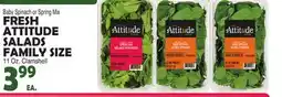 Bravo Supermarkets FRESH ATTITUDE SALADS FAMILY SIZE offer