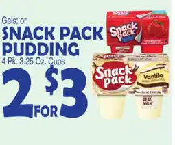 Bravo Supermarkets SNACK PACK PUDDING offer