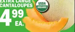 Bravo Supermarkets EXTRA LARGE CANTALOUPES offer