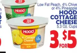 Bravo Supermarkets HOOD COTTAGE CHEESE offer