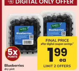 ACME Blueberries offer