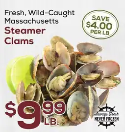 DeCicco & Sons Massachusetts Steamer Clams offer