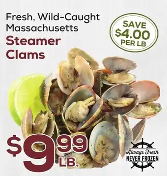 DeCicco & Sons Massachusetts Steamer Clams offer