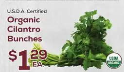 DeCicco & Sons Organic Cilantro Bunches offer