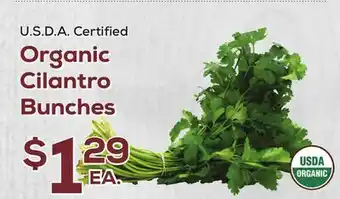 DeCicco & Sons Organic Cilantro Bunches offer