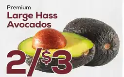 DeCicco & Sons Large Hass Avocados offer