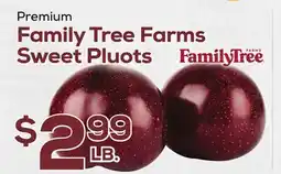 DeCicco & Sons Family Tree Farms Sweet Pluots offer