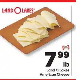 Weis Markets Land O Lakes American Cheese offer