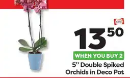 Weis Markets 5 Double Spiked Orchids Deco Pot offer
