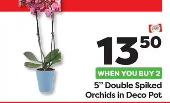 Weis Markets 5 Double Spiked Orchids Deco Pot offer