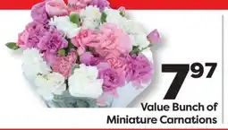 Weis Markets Value Bunch of Miniature Carnations offer
