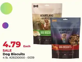 Runnings Dog Biscuits offer