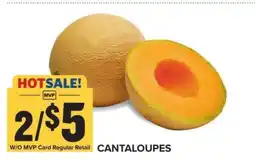 Food Lion Cantaloupes offer