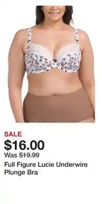 TJ Maxx Full Figure Lucie Underwire Plunge Bra offer
