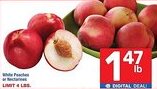 Albertsons White peaches or nectarines offer