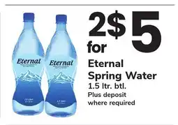 ACME Eternal Spring Water offer