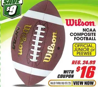 Big 5 Wilson NCAA Composite Official Football offer