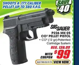 Big 5 Sig Sauer P226 MK-25 CO2 Pellet Pistol offer