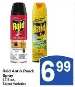 Albertsons Raid Ant & Roach Spray offer
