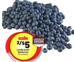 Meijer Locally Grown Blueberries offer