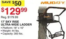 Dunham's Sports 17' SKY RISE ULTRA-WIDE LADDER offer