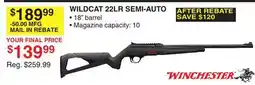 Dunham's Sports WILDCAT 22LR SEMI-AUTO offer