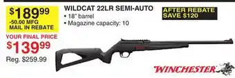 Dunham's Sports WILDCAT 22LR SEMI-AUTO offer