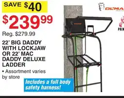Dunham's Sports 22' BIG DADDY WITH LOCKJAW OR 22' MAC DADDY DELUXE LADDER offer