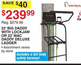 Dunham's Sports 22' BIG DADDY WITH LOCKJAW OR 22' MAC DADDY DELUXE LADDER offer