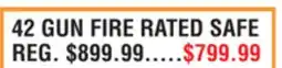 Dunham's Sports 42 GUN FIRE RATED SAFE offer