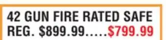 Dunham's Sports 42 GUN FIRE RATED SAFE offer