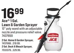 Ace Hardware Ace 1 Gal. Lawn & Garden Sprayer offer
