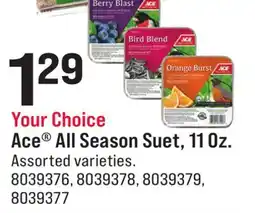 Ace Hardware Ace All Season Suet, 11 Oz offer