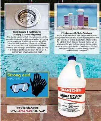 Ace Hardware Muriatic Acid, Gallon offer