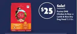 Family Dollar Purina ONE Chicken & Rice or Lamb & Rice Dry Dog Food offer