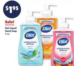 Family Dollar Dial Liquid Hand Soap offer
