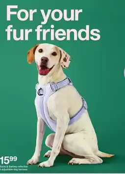 Target Boots & Barkley reflective & adjustable dog harness offer