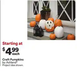 Michaels Craft Pumpkins by Ashland offer