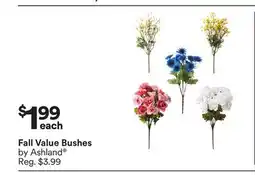 Michaels Fall Value Bushes by Ashland offer